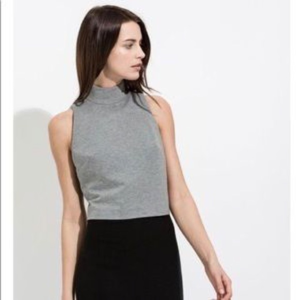 Kit and Ace Gray Sleeveless Mock Neck Crop Top